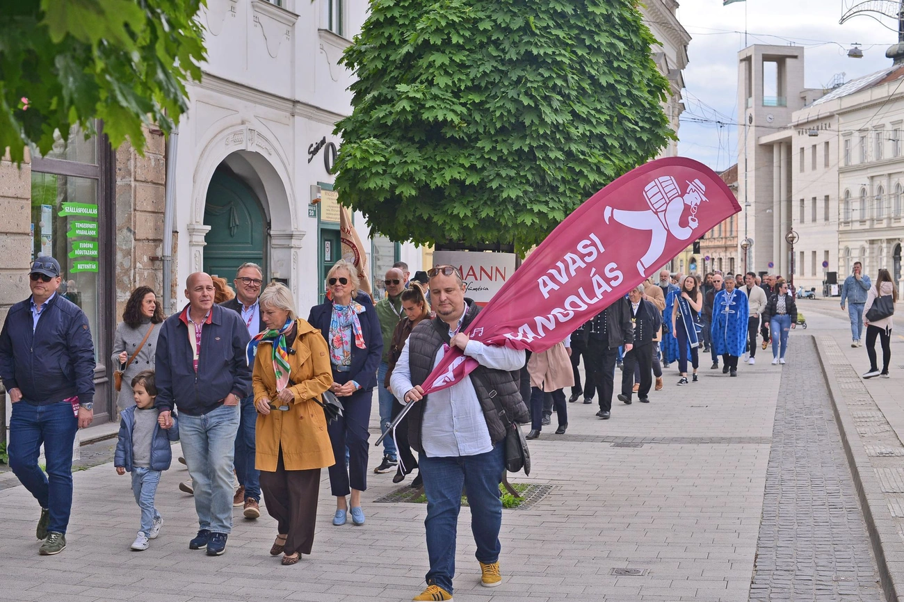 Borangolás megnyitó