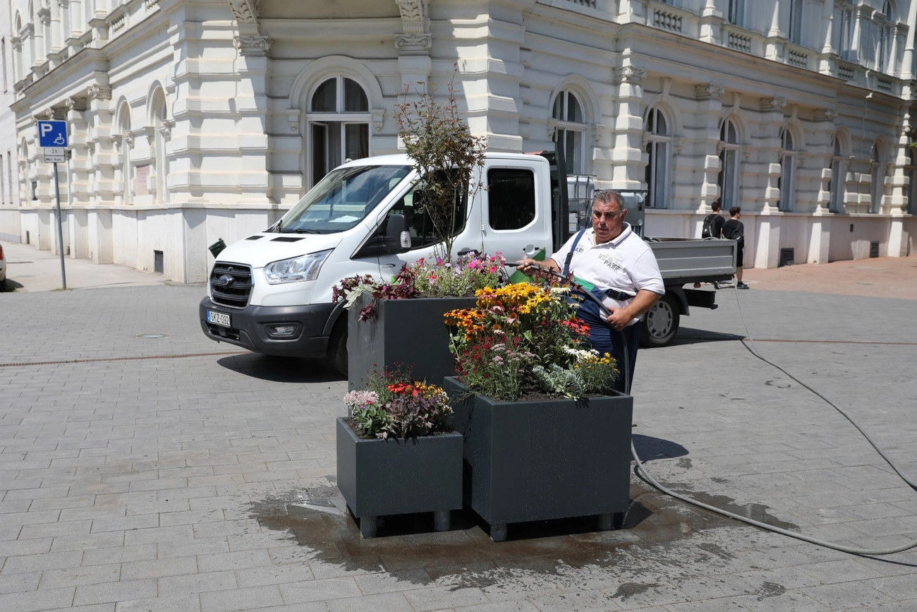 Virágosítás a Városház téren