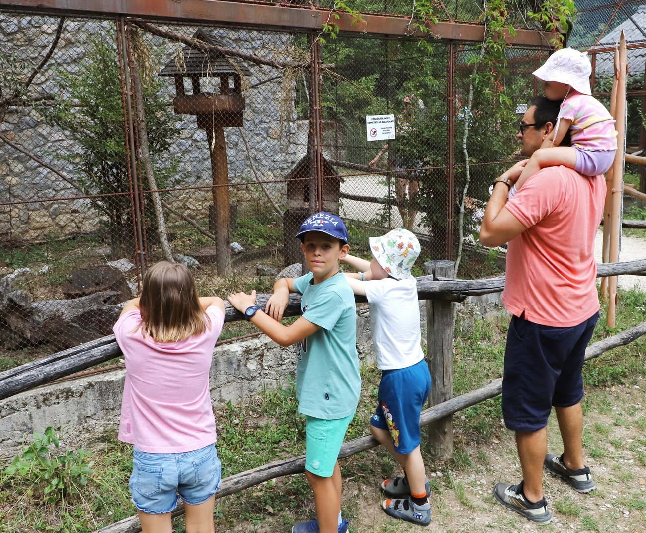 42 éves a Miskolci Állatkert