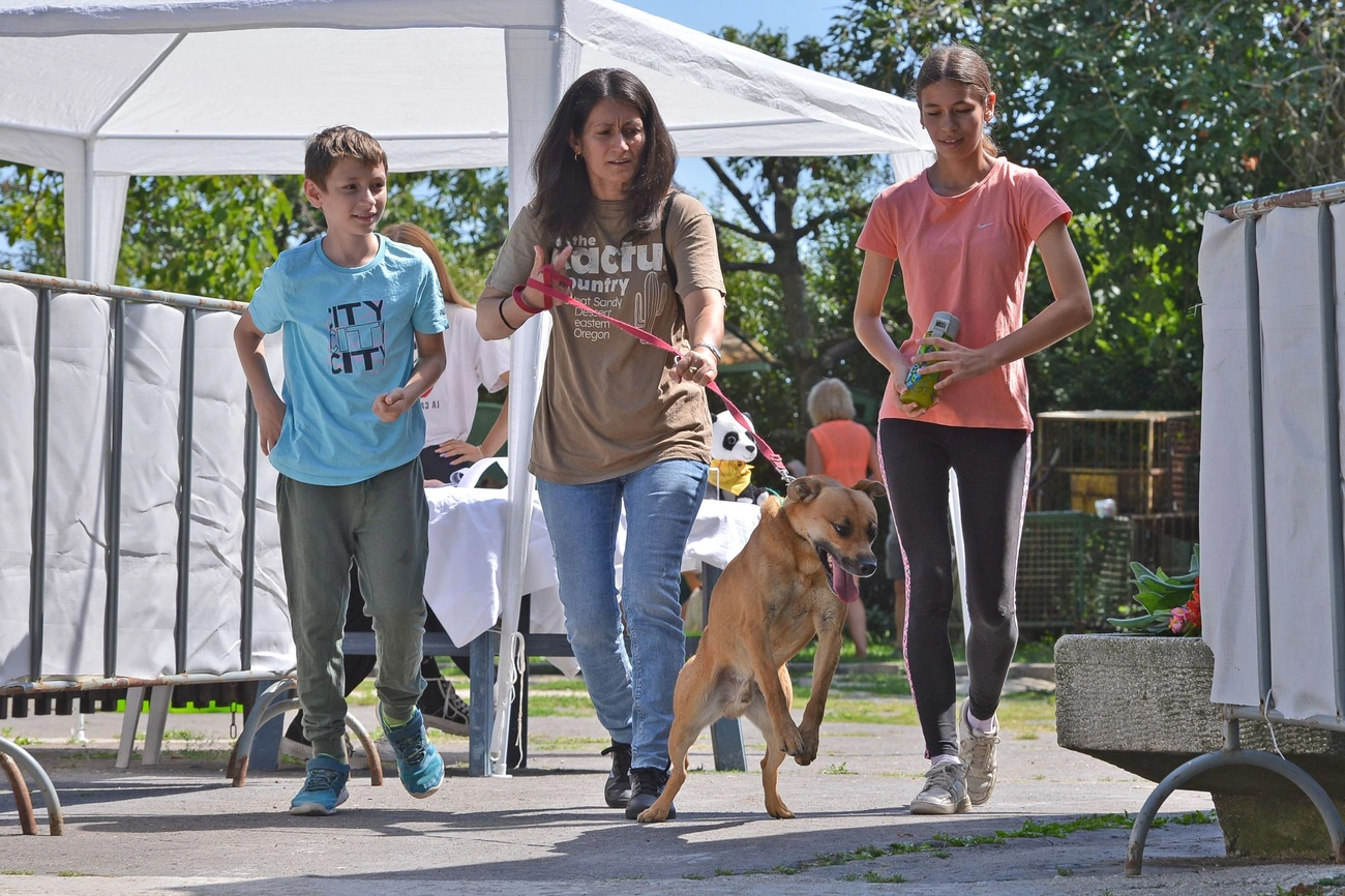 Nyílt Nap a Miskolci Állategészségügyi Telepen