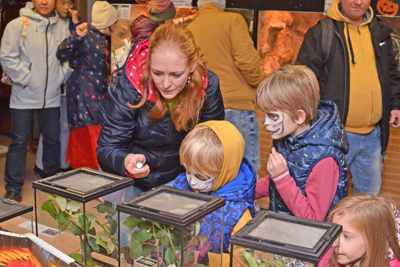  Halloween-est a Miskolci Állatkertben