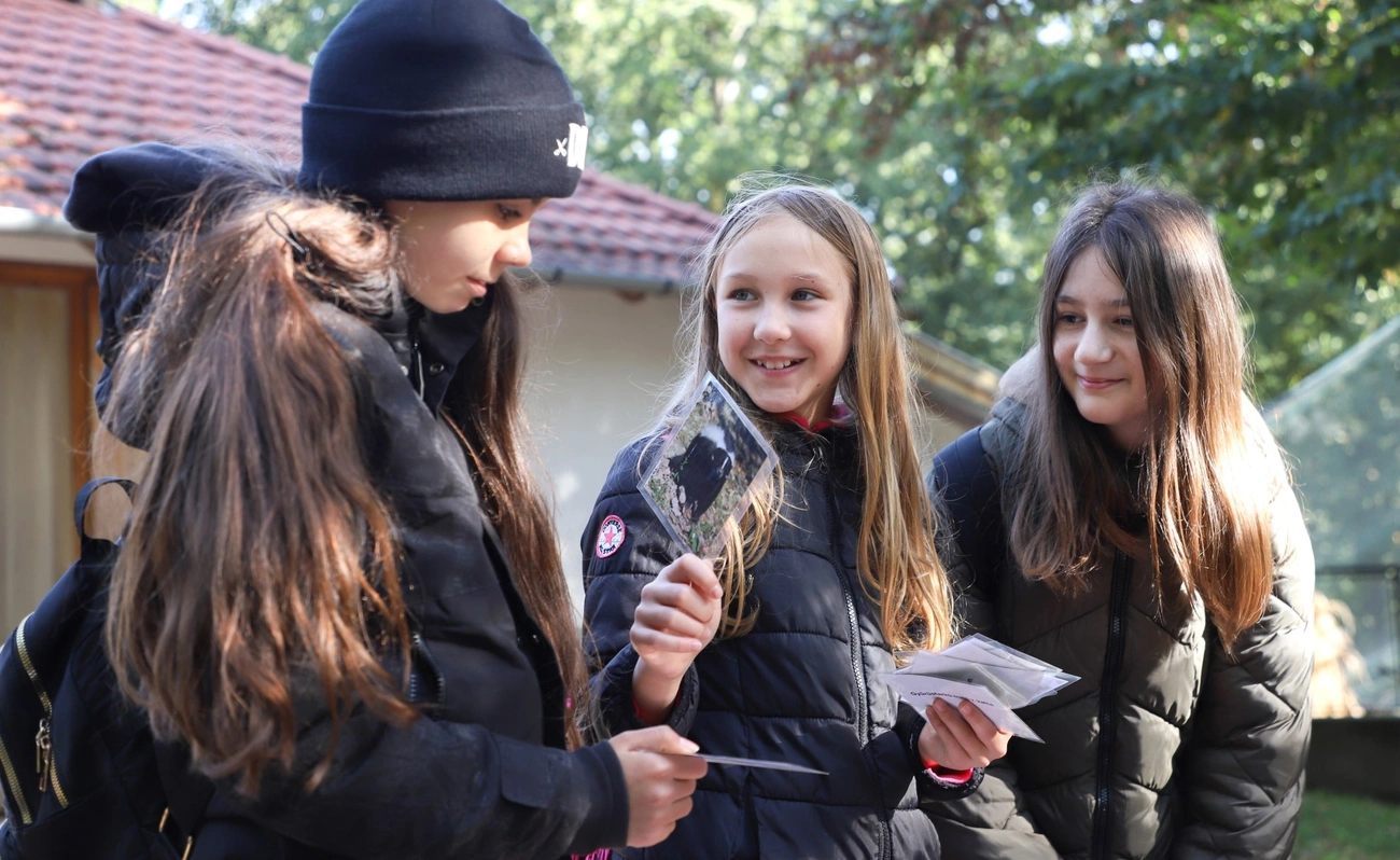 Zoománia vetélkedő a Miskolci Állatkertben