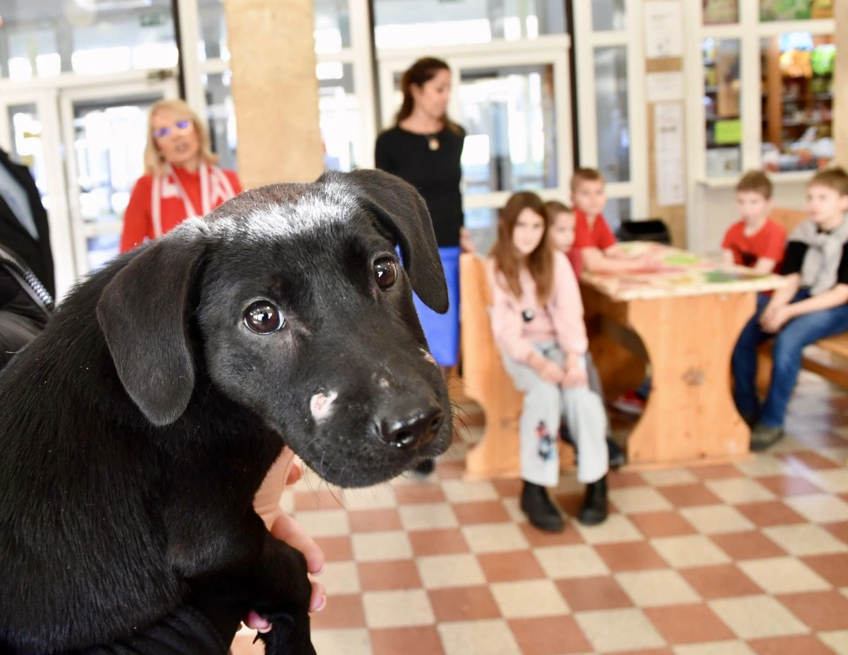 Szívmelengető akció a Fazekas iskolában. Fotó: Bujdos Tibor