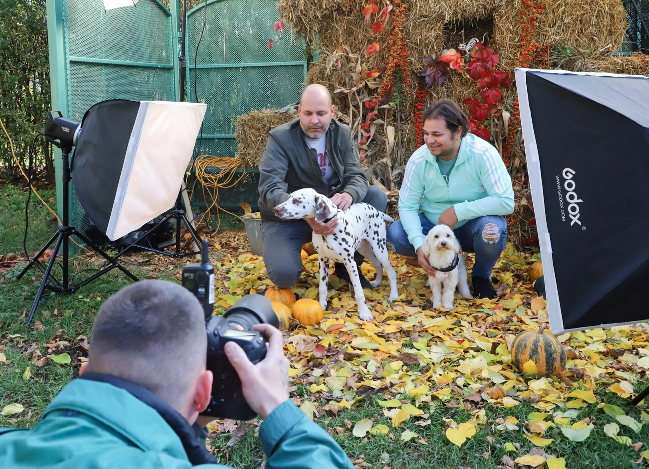 Jótékonysági kutyafotózás a Miskolci Állategészségügyi Telepen