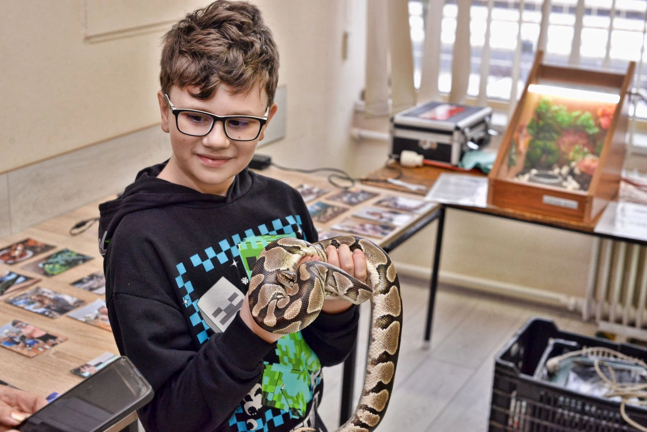 Egzotikus kisállat kiállítás