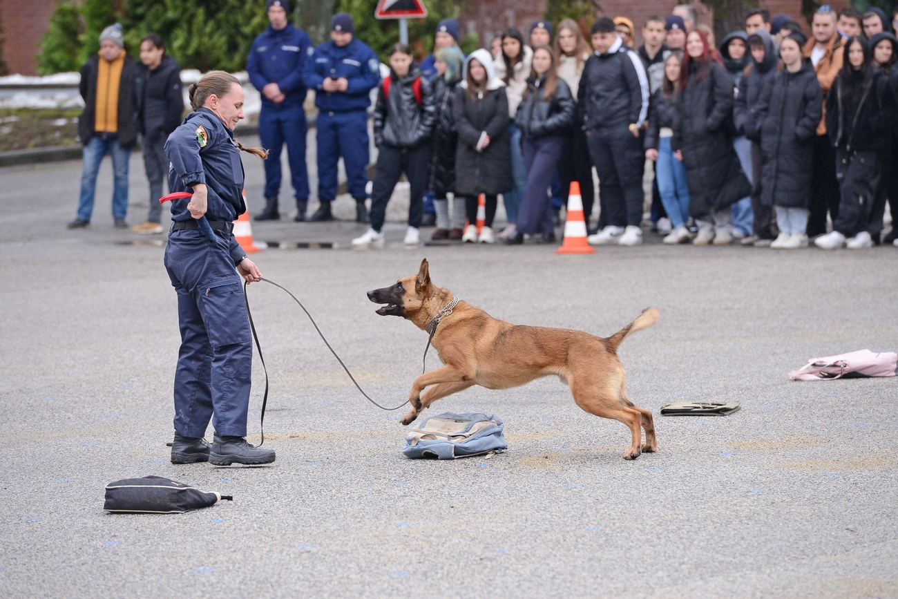Miskolci Rendvédelmi Technikum nyílt nap
