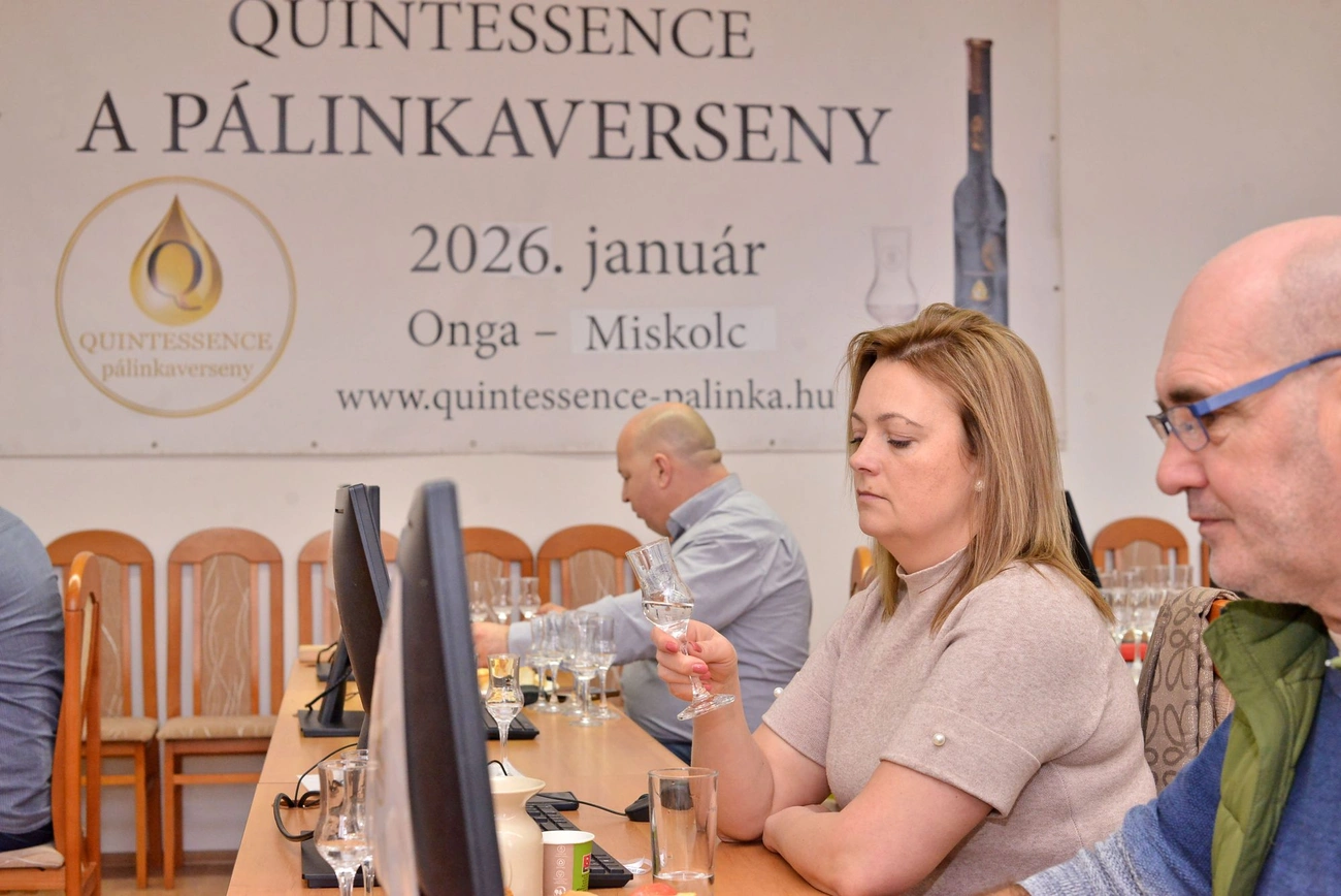 Quintessence zsűrizés Ongán