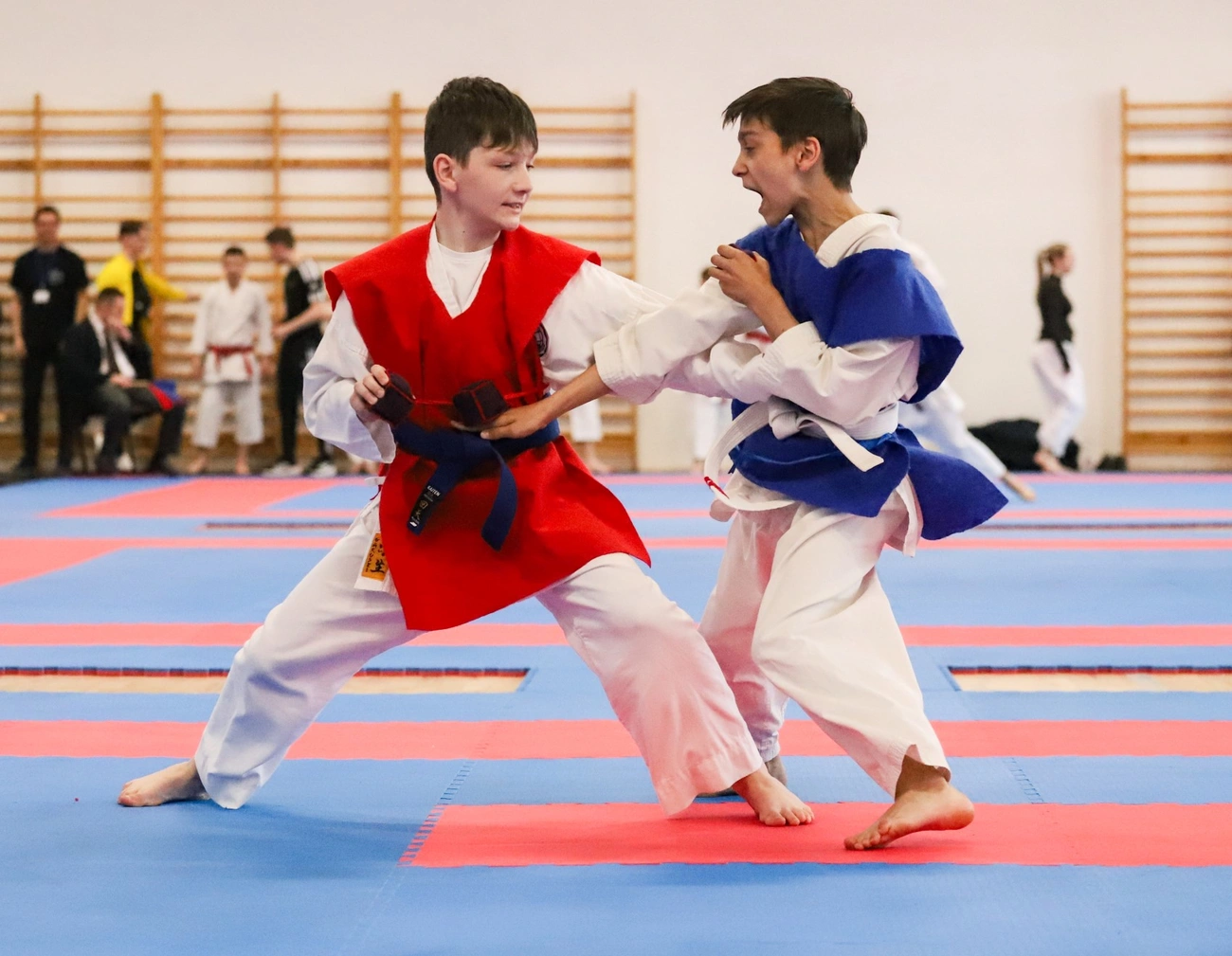 Adamantin Karate Kupa