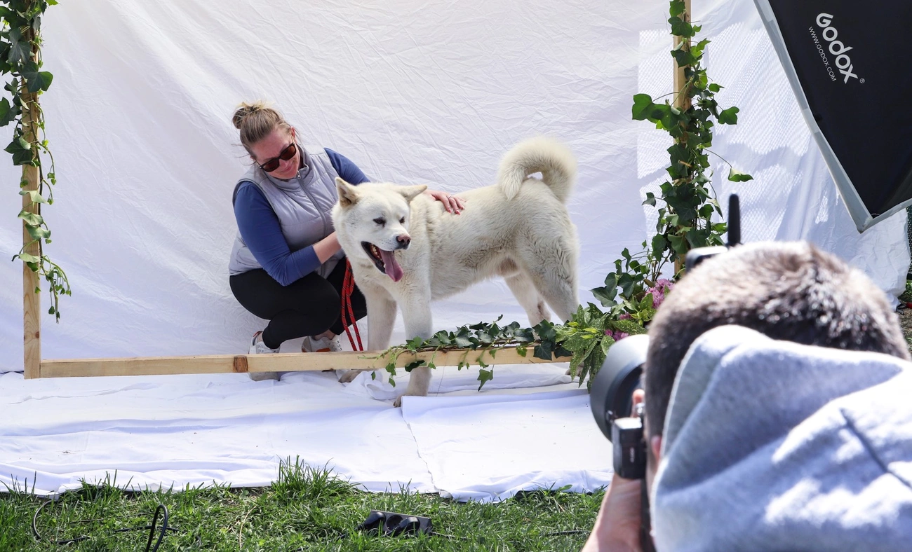 Nyílt nap és jótékonysági fotózás az Állategészségügyi Telepen