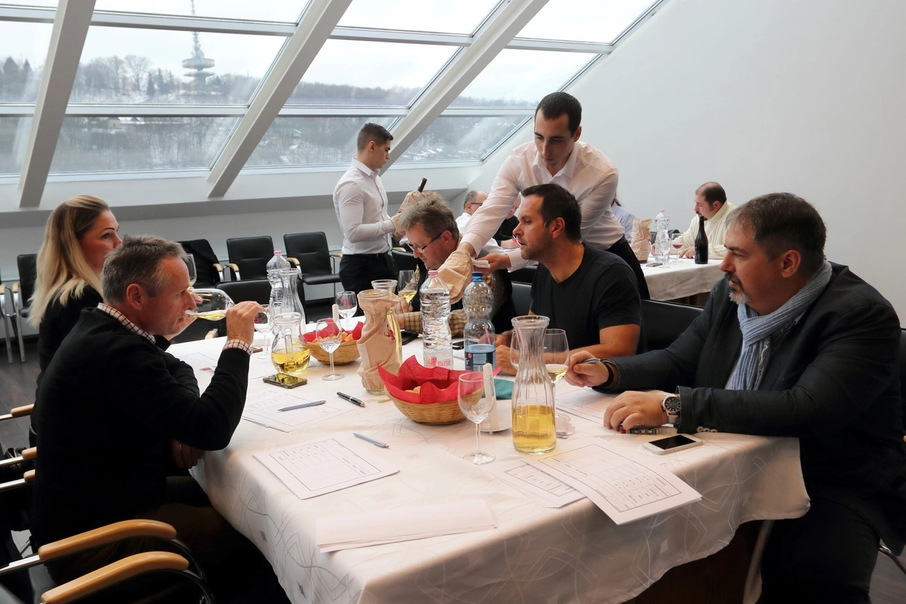 II. Avasi Bor Rangoló és II. Miskolci Borszalon