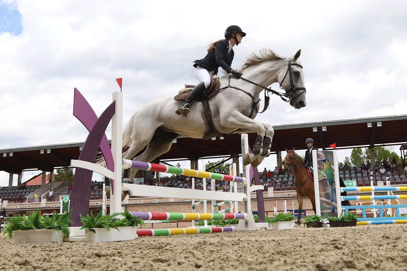  Mento Kupa Regionális Díjugrató Verseny