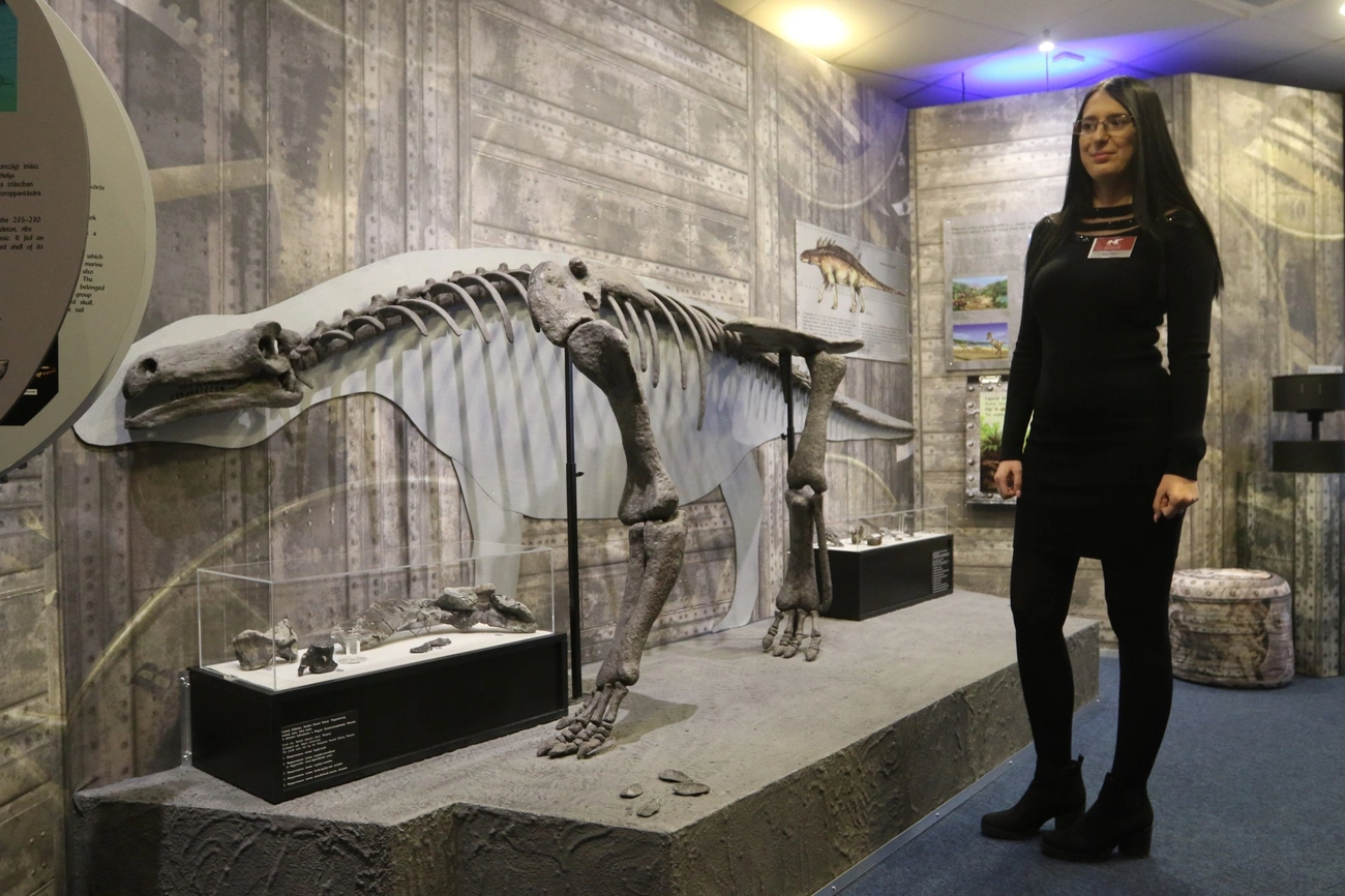 Dínók földjén - kiállítás a Herman Ottó Múzeumban