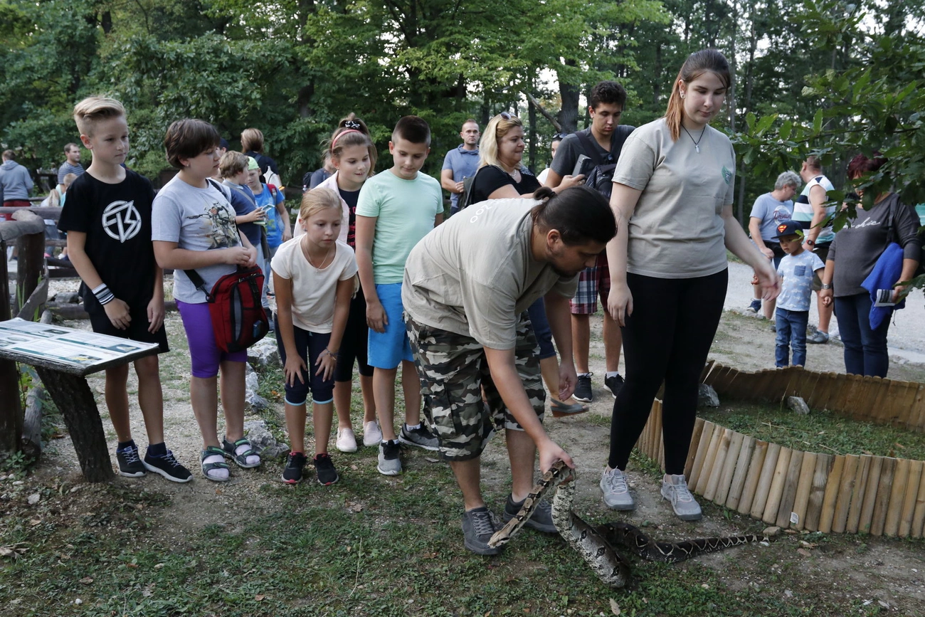 ÉjszakáZOO a Miskolci Állatkertben