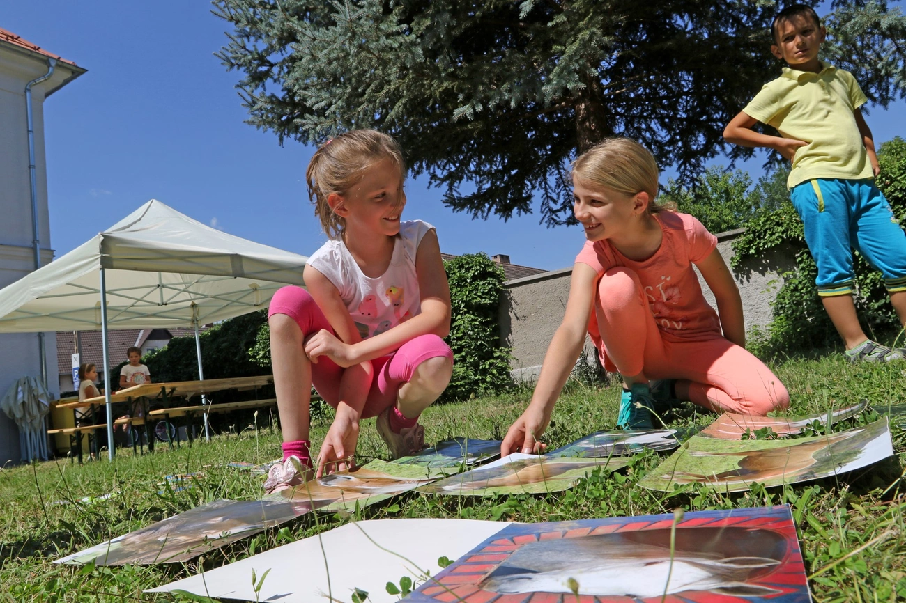 Napközis élménytábor a diósgyőri Petőfi Sándor Könyvtárban