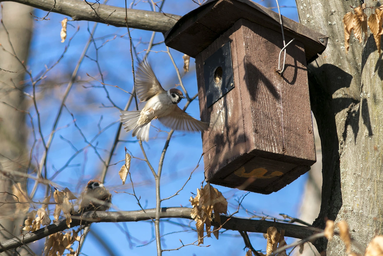 Odútakarítás a Miskolci Állatkert és Kultúrparkban