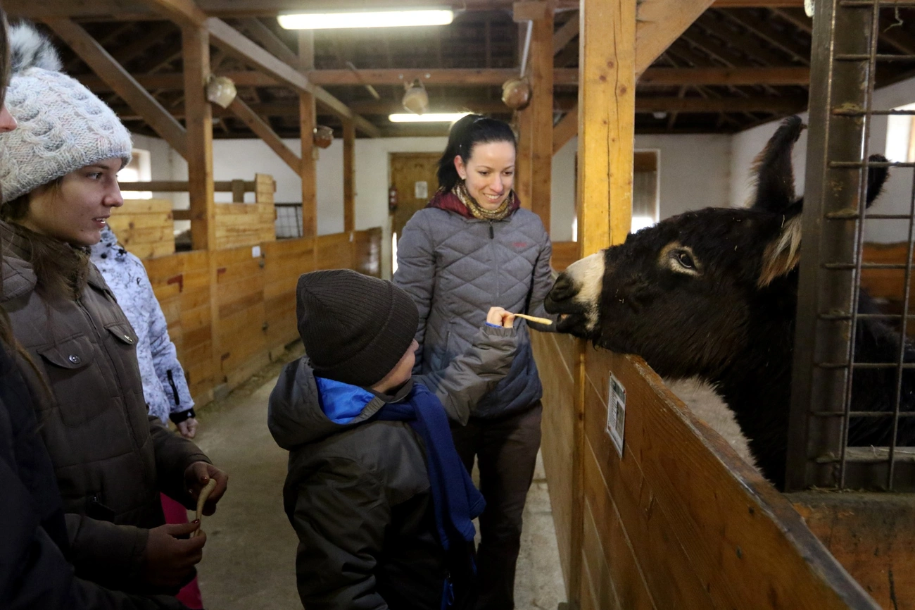 Állatok karácsonya a Miskolci Állatkertben