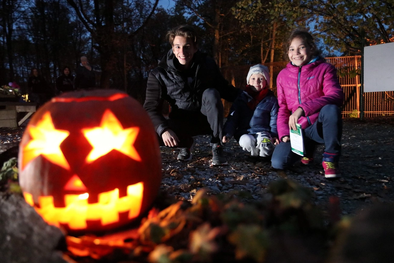 Halloween Est a Miskolci Állatkertben